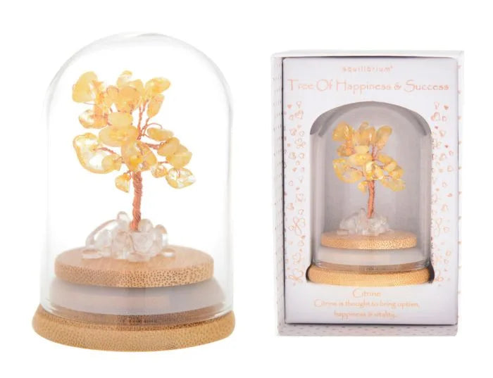 EQUILIBRIUM TREE HAPPINESS & SUCCESS