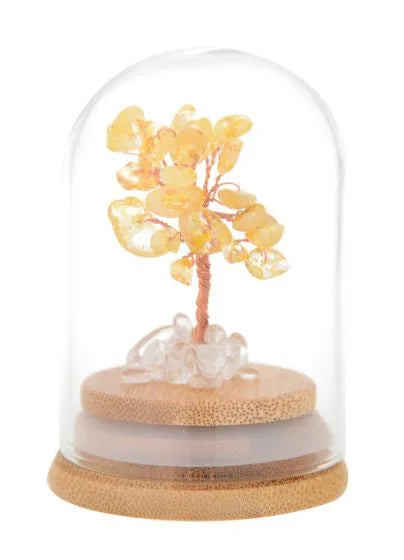 EQUILIBRIUM TREE HAPPINESS & SUCCESS