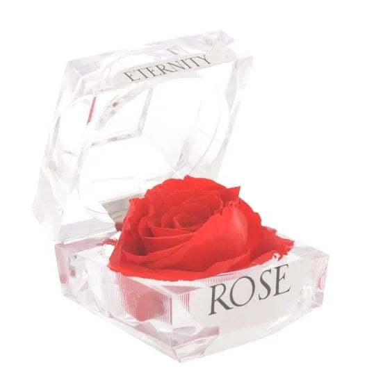 EVERLASTING RED ROSE BOX
