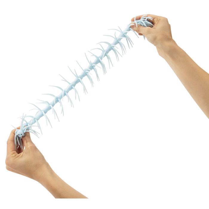 WIGGLY WOO