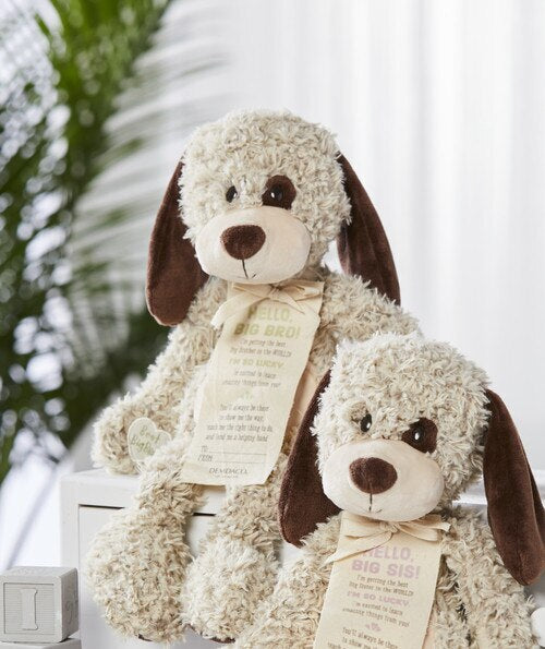 DEMDACO PUPPY BIG BROTHER FROM BABY - Gifts R Us