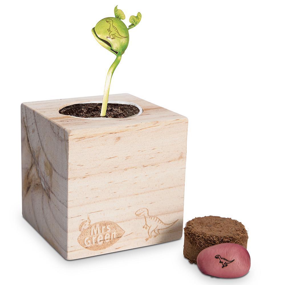 MRS GREENS MAGIC BEANS - Gifts R Us