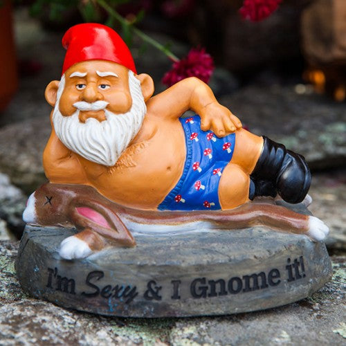 BIGMOUTH THE SEXY AND I GARDEN GNOME