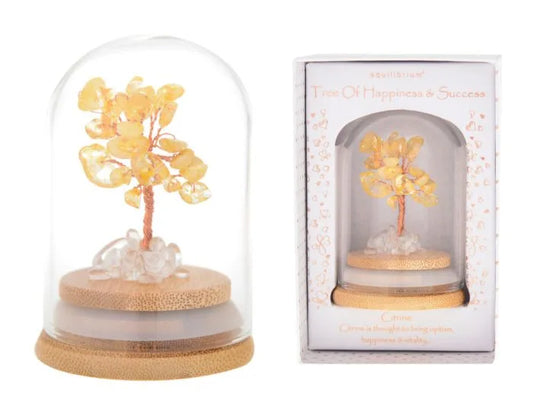EQUILIBRIUM TREE HAPPINESS & SUCCESS