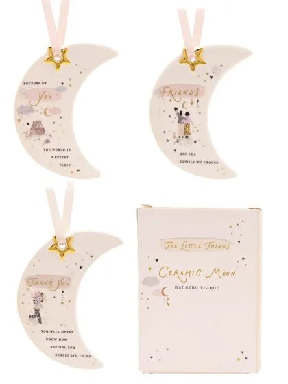 LITTLE THINGS HANGING PLAQUE