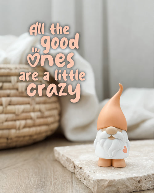 TAG GIFTWARE NAUGHTY GNOMES THEODORE ALL THE GOOD ONES ARE A LITTLE CRAZY
