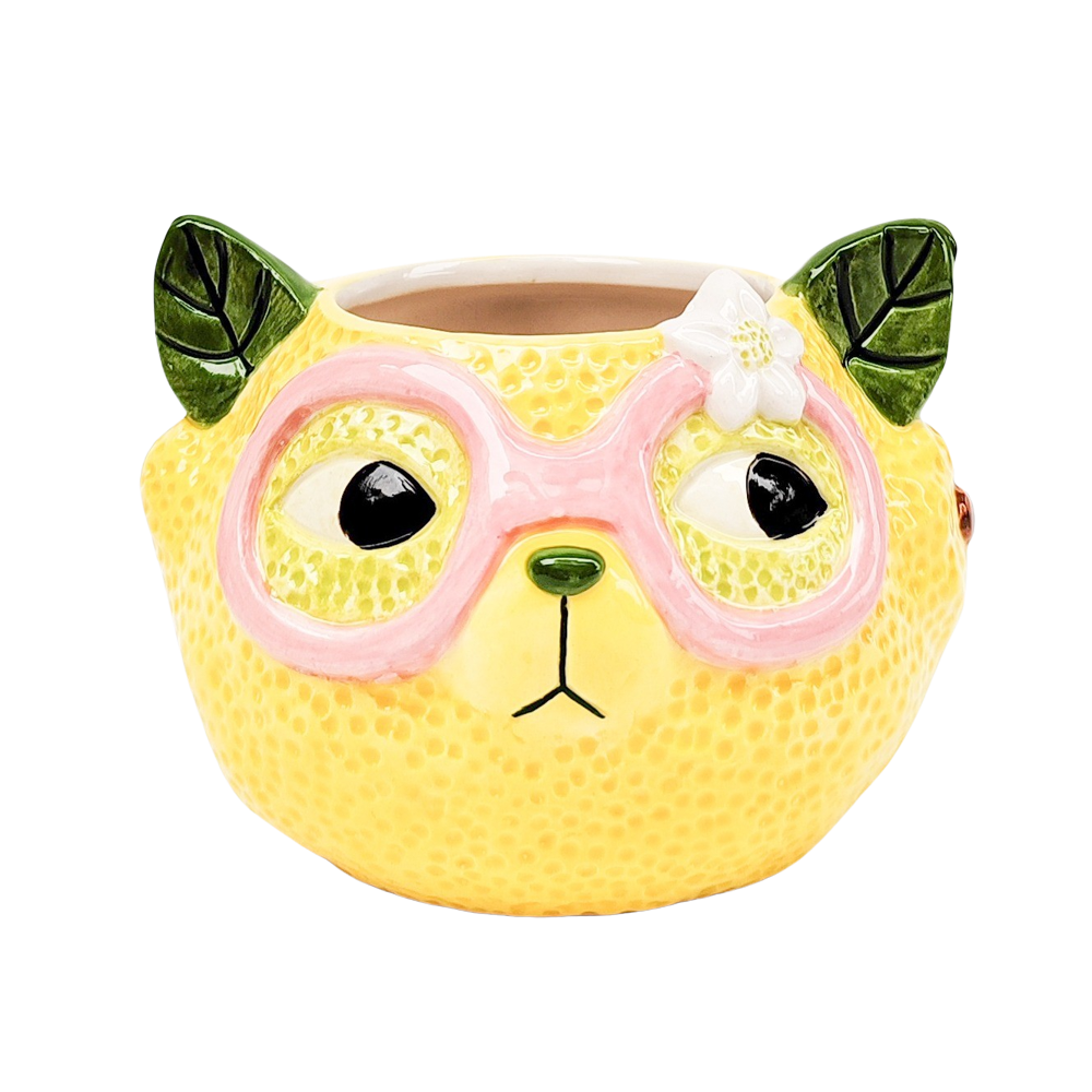 TROPICANA CAT PINEAPPLE VASE ORANGE