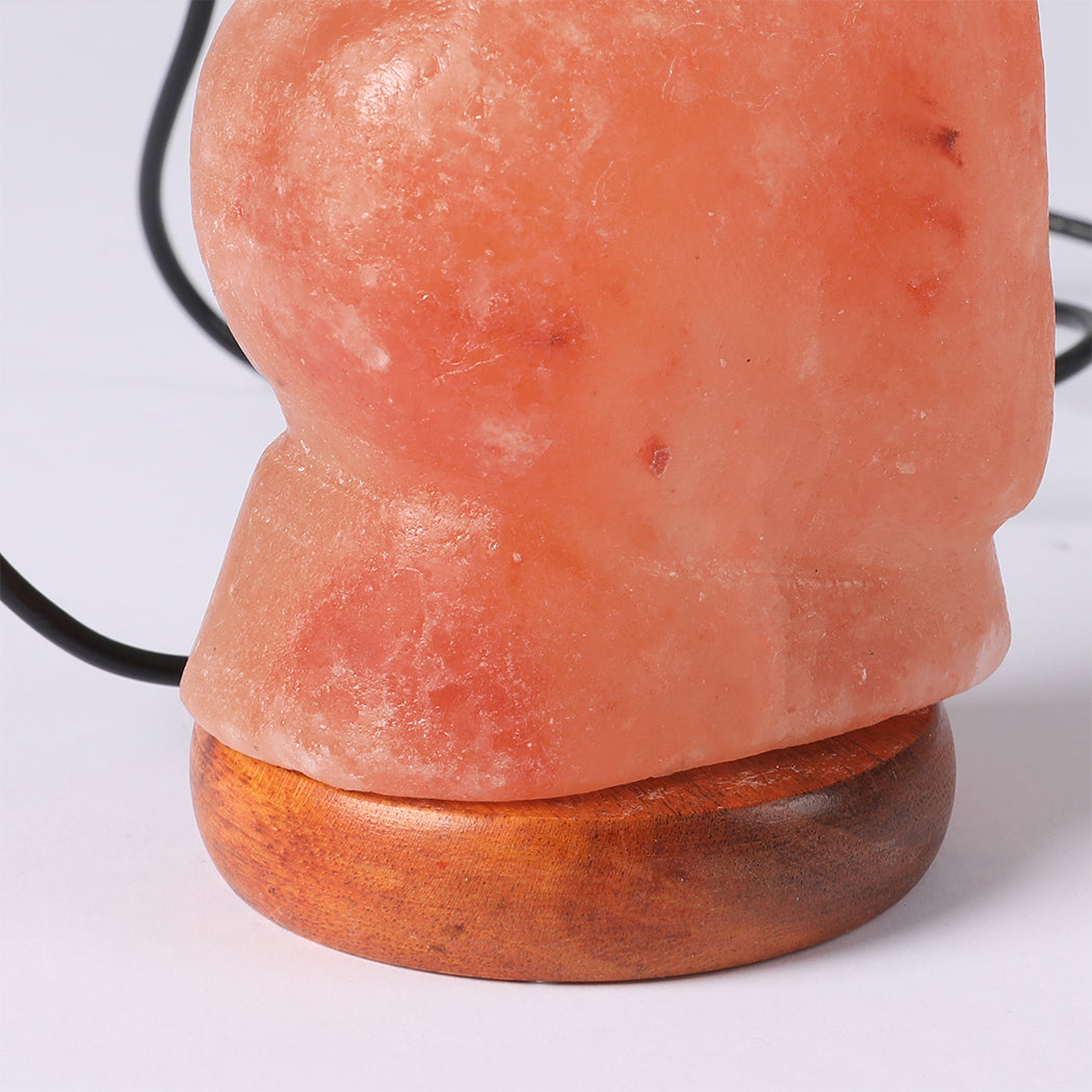 Salt Lamp Globe USB Himalayan Natural Crystal Rock Cord Night Light Lamps Globes - Gifts R Us