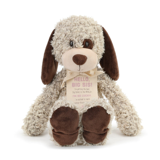 DEMDACO PUPPY BIG SISTER GIFT FROM BABY - Gifts R Us