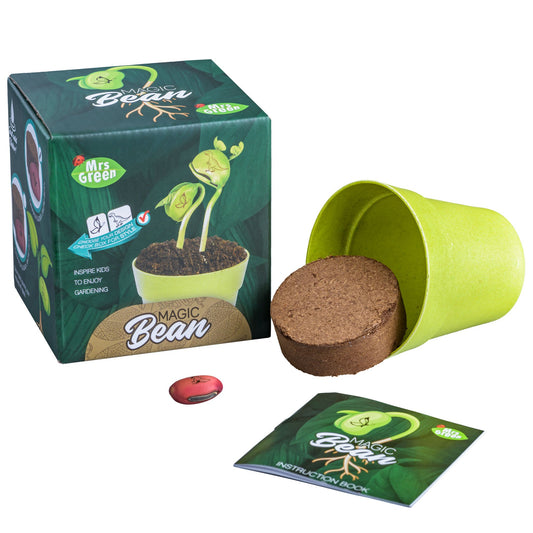 MRS GREENS MAGIC BEANS - Gifts R Us