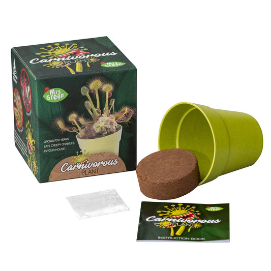 MRS GREEN CARNIVOROUS PLANT (GROW YOUR OWN) - Gifts R Us