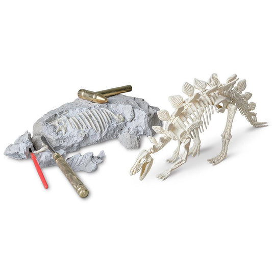 HEEBIE JEEBIE STEGOSAURUS PALAEONTOLOGY KIT - Gifts R Us
