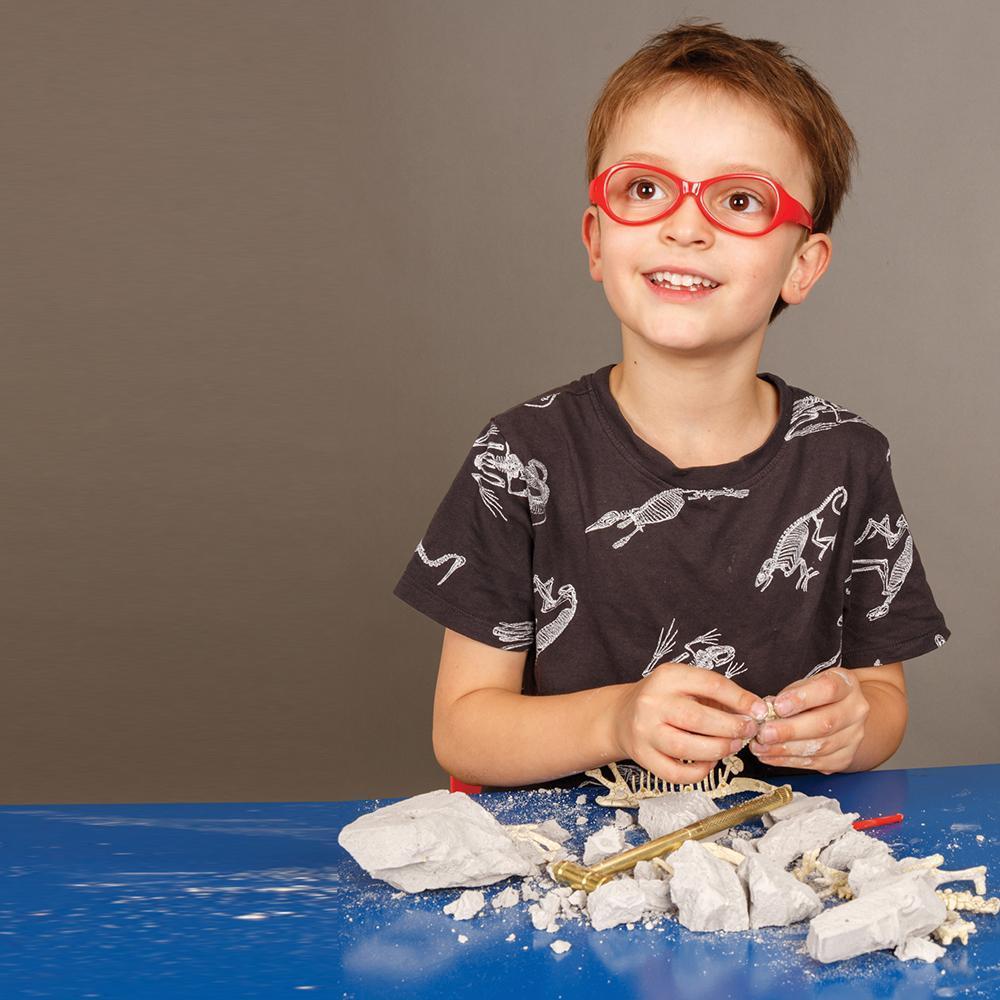 HEEBIE JEEBIE STEGOSAURUS PALAEONTOLOGY KIT - Gifts R Us